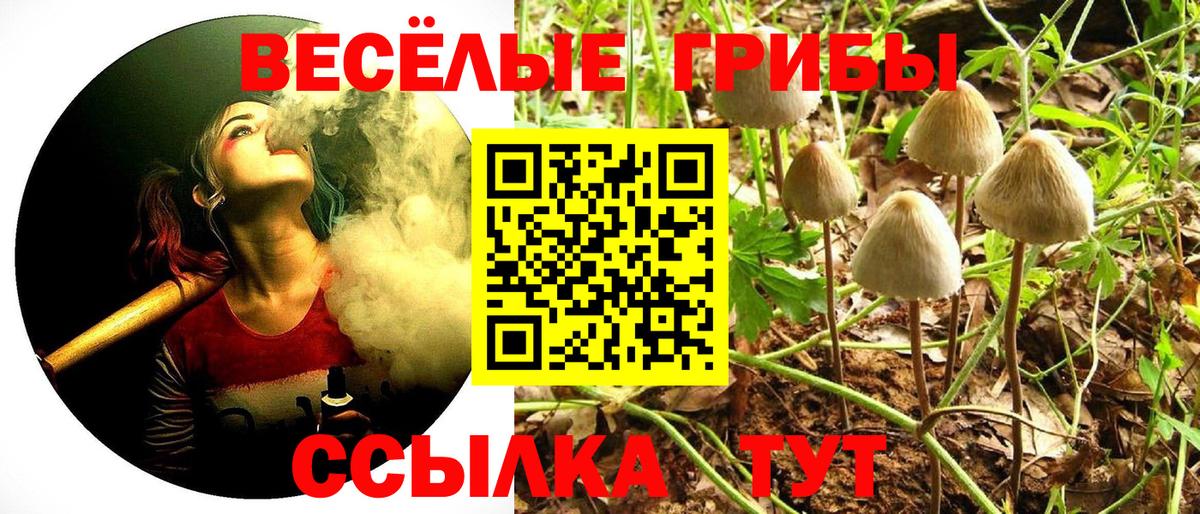 Галлюциногенные грибы Psilocybe  купить   Сосновый Бор  Вход с VPN 