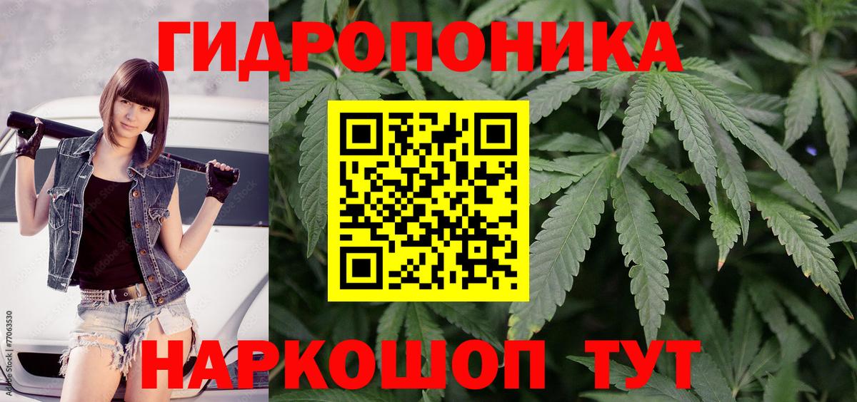 Канабис SATIVA & INDICA Сосновый Бор
